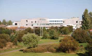 Sumarnámskeið Skákskólans á Austurlandi 12. júlí